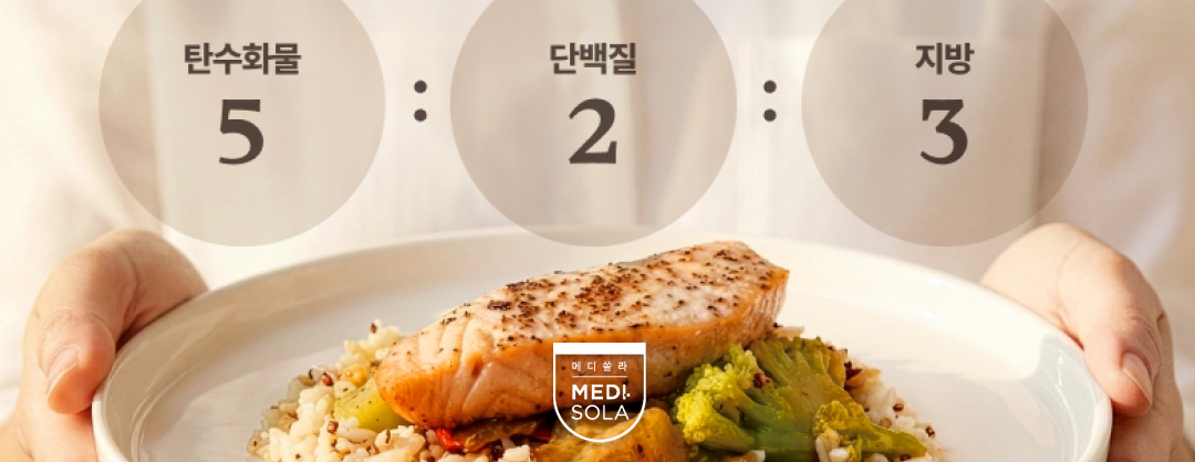 탄단지 5:2:3 비율의 중요성과 올바른 적용법